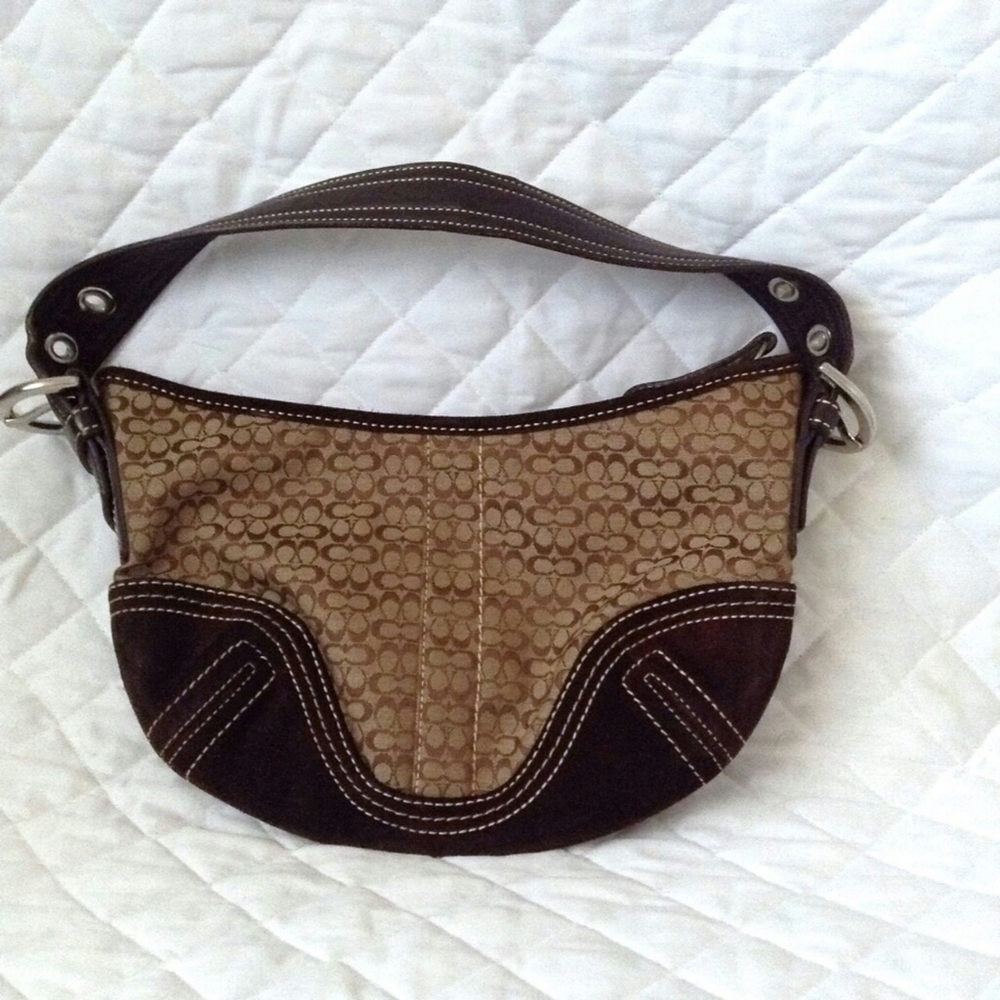 Coach bag (small)